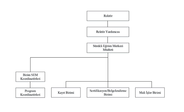 İzmir Tınaztepe Üniversitesi Sürekli Eğitim Merkezi organizasyon şeması